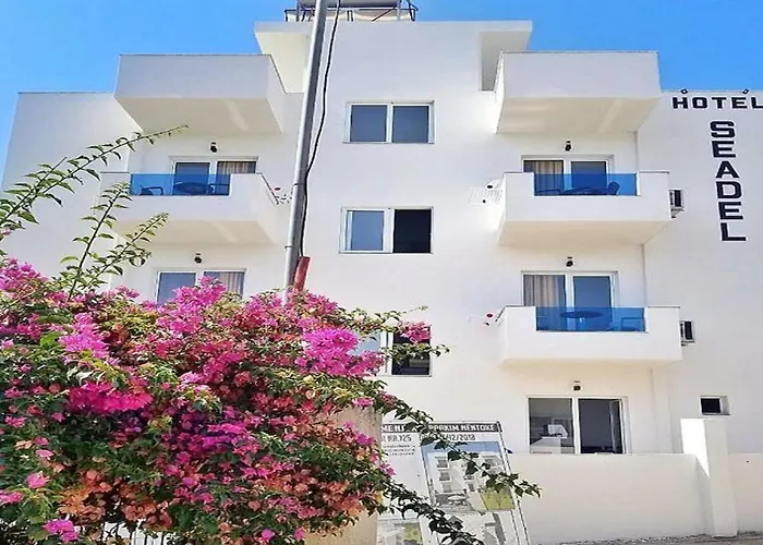 Отель Seadel 3*